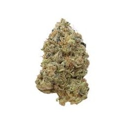 (AA) Budget Bud